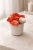 6C8CCFE7-67AC-46B7-9F32-561FE812535F.png